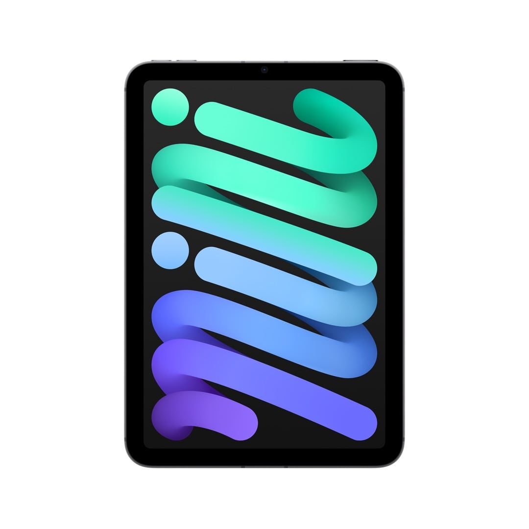 iPad mini Wi-Fi + Cellularモデル 256GB - スペースグレイ