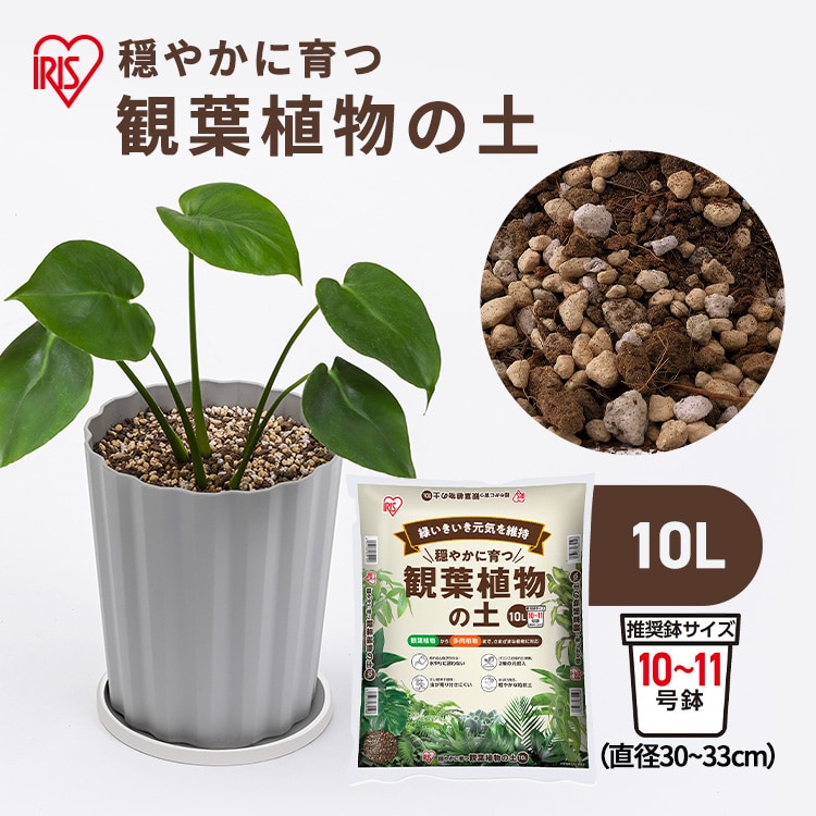 穏やかに育つ観葉植物の土 10L IHPC-10L: アイリスオーヤマ公式通販