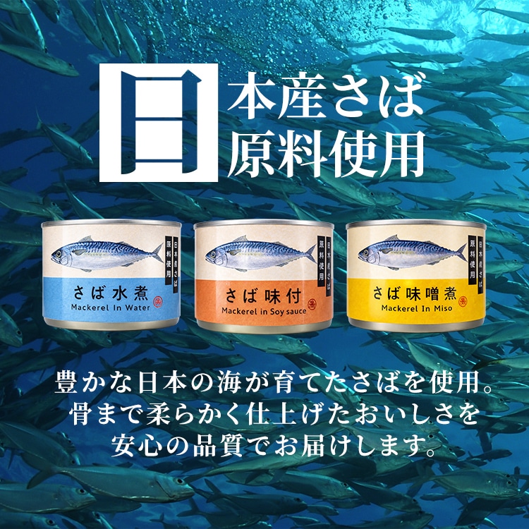 TFJ 【24缶】さば缶 味噌煮 味噌煮