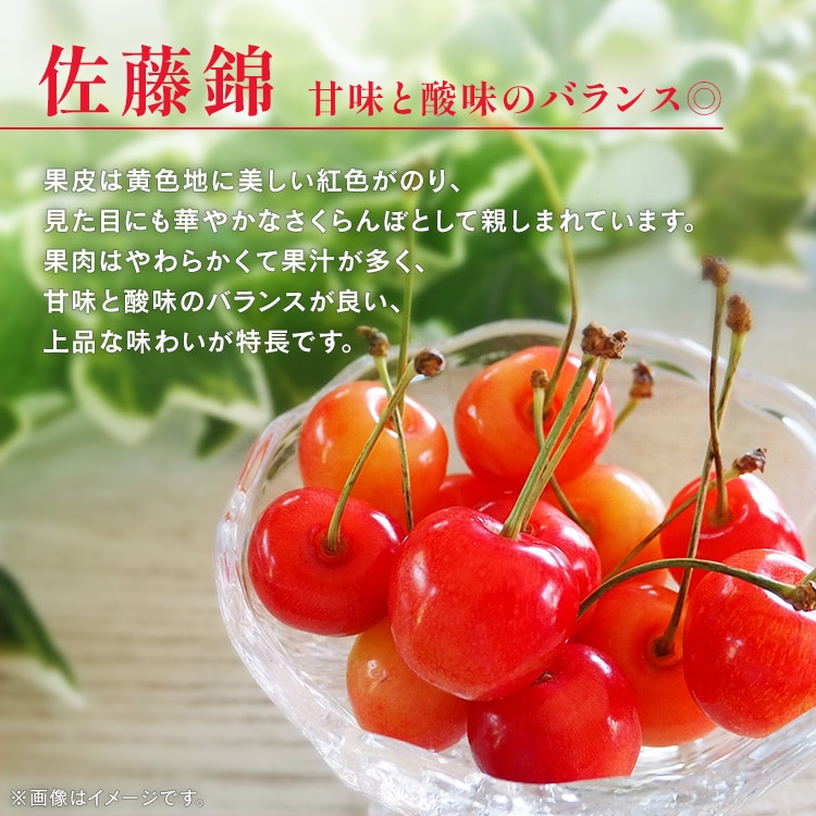 北海道産さくらんぼ1kg（500g×2） 【時間指定不可】【代引不可】【同梱