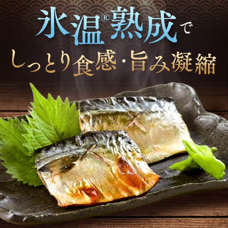 【山陰大松】氷温熟成 骨取りさば切身18切 HSB-18 【時間指定不可】【代引不可】【同梱不可】