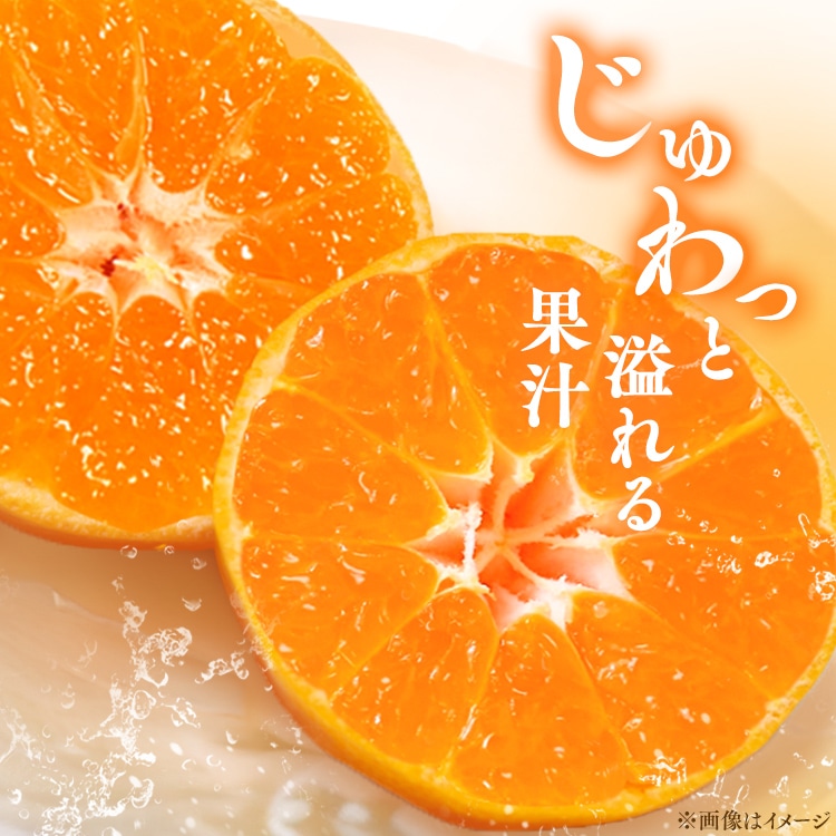宇和島青果市場 宇和島ハウスみかん 4kg 【時間指定不可】【代引不可】【同梱不可】