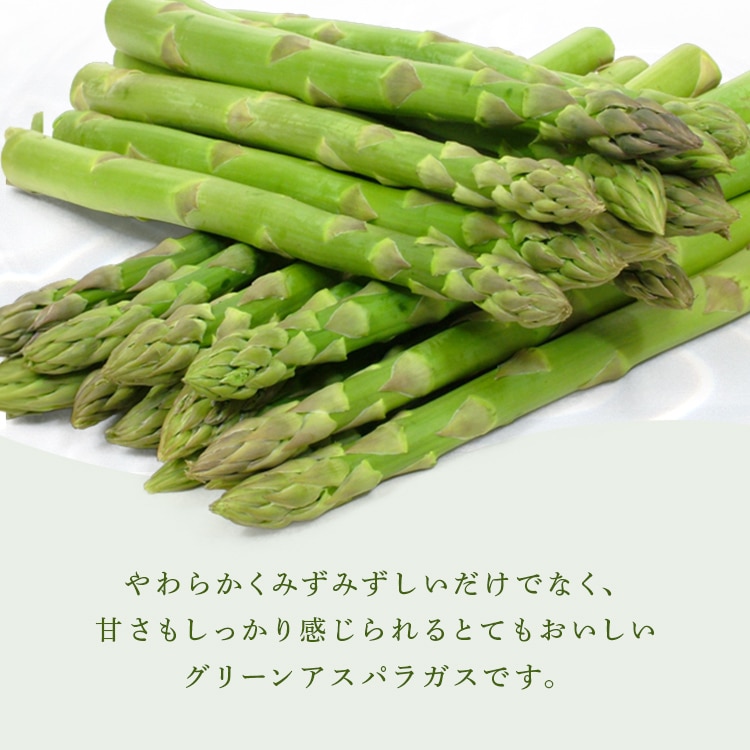 \13倍マイル!6月14日まで/【訳あり】北海道産グリーンアスパラガス800g (400g×2) 【時間指定不可】【代引不可】【同梱不可】【プラザセレクト】