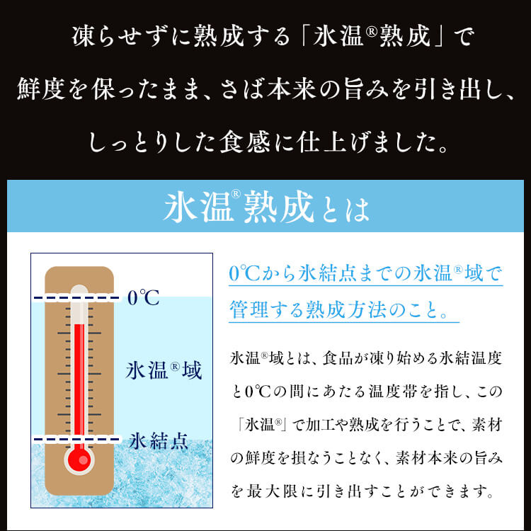 【山陰大松】氷温熟成 骨取りさば切身18切 HSB-18 【時間指定不可】【代引不可】【同梱不可】