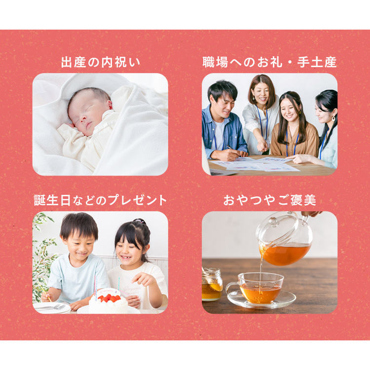 アニマルドーナツ 5個 ANA-01A 【時間指定不可】【代引不可】【同梱不可】