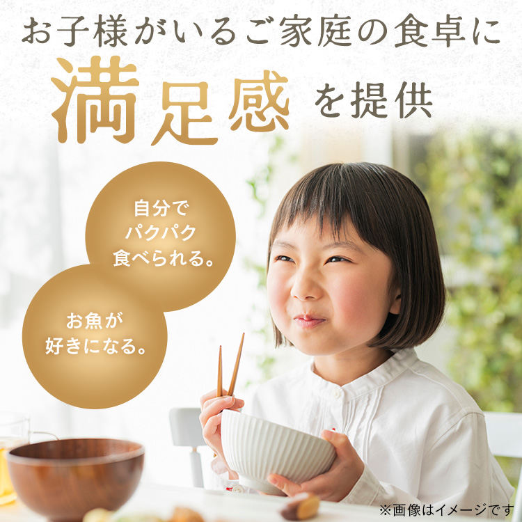 \NEW/【高徳海産】国産骨取り塩さばフィーレ1kg 【時間指定不可】【代引不可】【同梱不可】