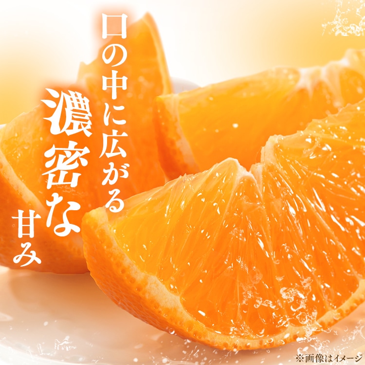 宇和島青果市場 宇和島ハウスみかん 4kg 【時間指定不可】【代引不可】【同梱不可】