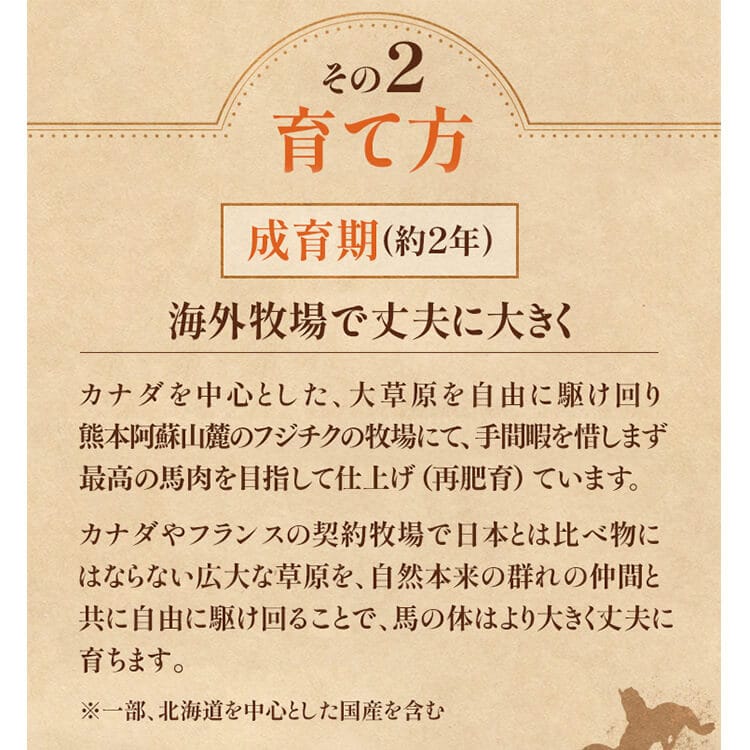 【予約】フジチク ふじ馬刺し特選詰合せ【彩】 2559 【時間指定不可】【代引不可】【同梱不可】【プラザセレクト】】※1月下旬頃発送予定