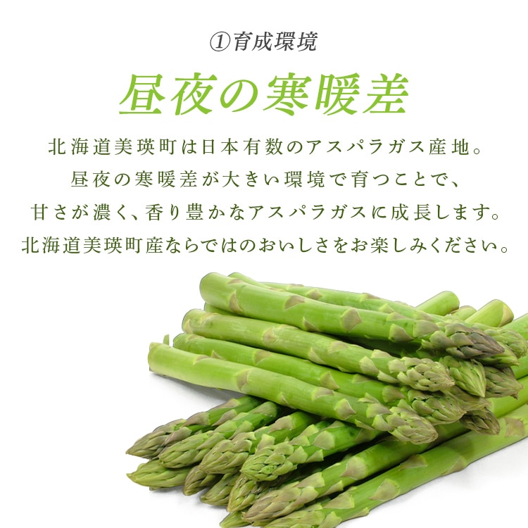 \13倍マイル!6月14日まで/美瑛産グリーンアスパラガス1kg (500g×2) 【時間指定不可】【代引不可】【同梱不可】【プラザセレクト】