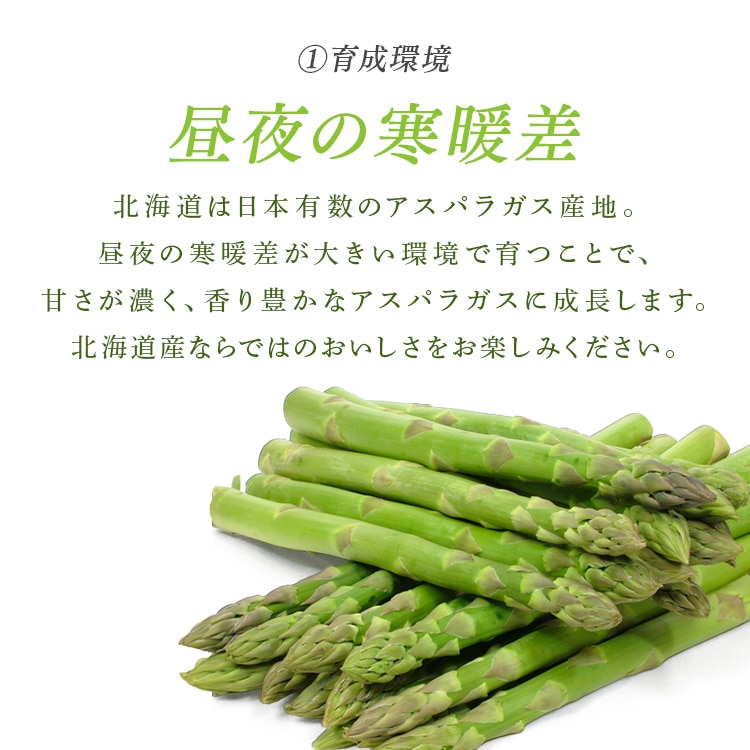 \13倍マイル!6月14日まで/【訳あり】北海道産グリーンアスパラガス800g (400g×2) 【時間指定不可】【代引不可】【同梱不可】【プラザセレクト】