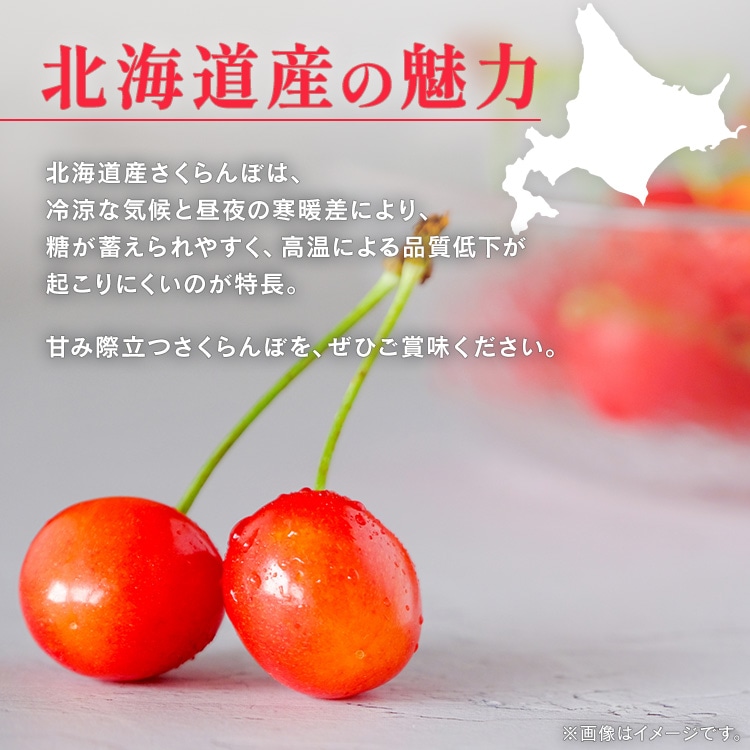 北海道産さくらんぼ1kg(500g×2) 【時間指定不可】【代引不可】【同梱不可】