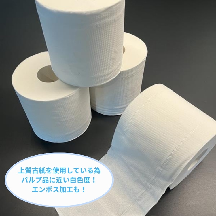 【2個】環境を考えたおしりにやさしいトイレットロール 2倍巻き 60mダブル 60mダブル