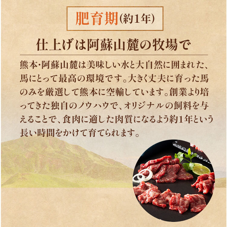 【予約】フジチク ふじ馬刺し おつまみユッケ4個セット 2520 【時間指定不可】【代引不可】【同梱不可】【プラザセレクト】※1月中旬頃発送予定