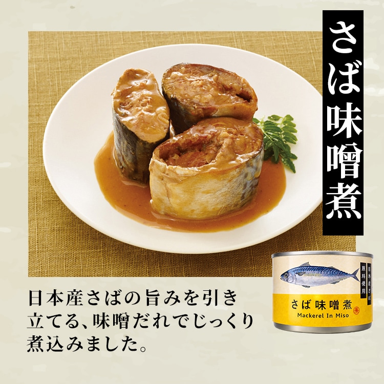 TFJ 【48缶】さば缶 味付き 味付き