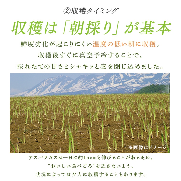 \13倍マイル!6月14日まで/【訳あり】北海道産グリーンアスパラガス800g (400g×2) 【時間指定不可】【代引不可】【同梱不可】【プラザセレクト】