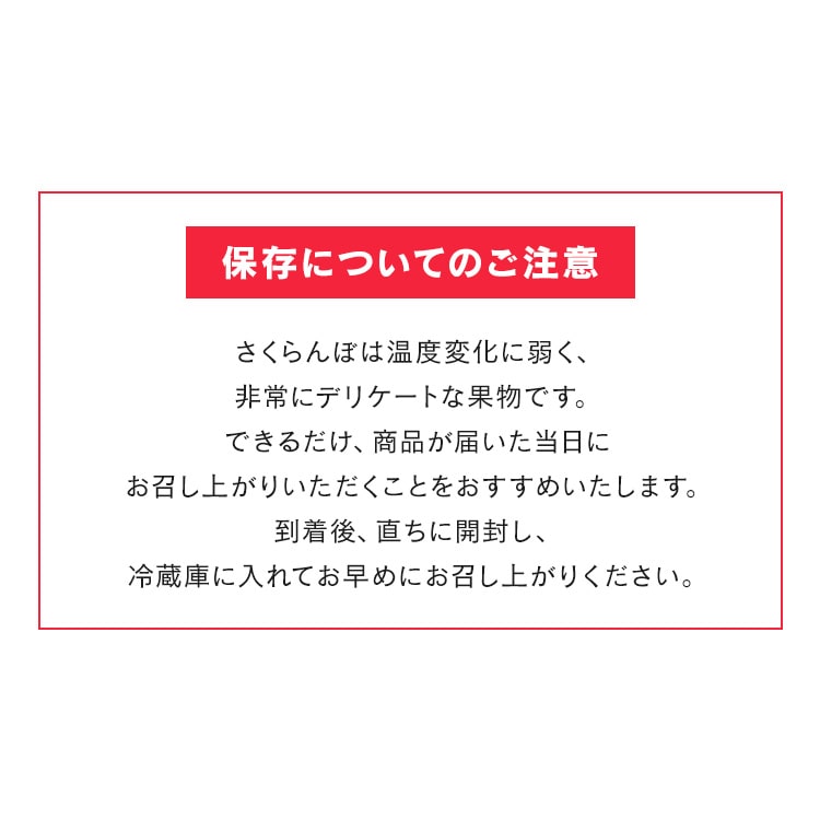 北海道産さくらんぼ1kg(500g×2) 【時間指定不可】【代引不可】【同梱不可】