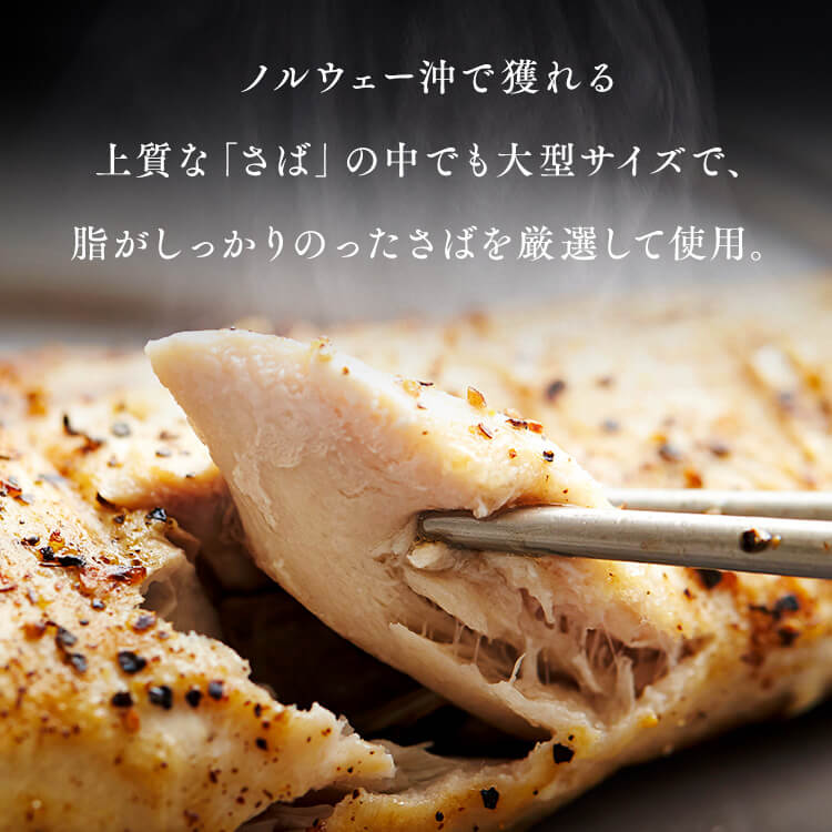 【山陰大松】氷温熟成 骨取りさば切身18切 HSB-18 【時間指定不可】【代引不可】【同梱不可】