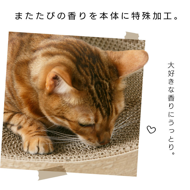 猫のつめとぎボウル またたびの香り付き 木目