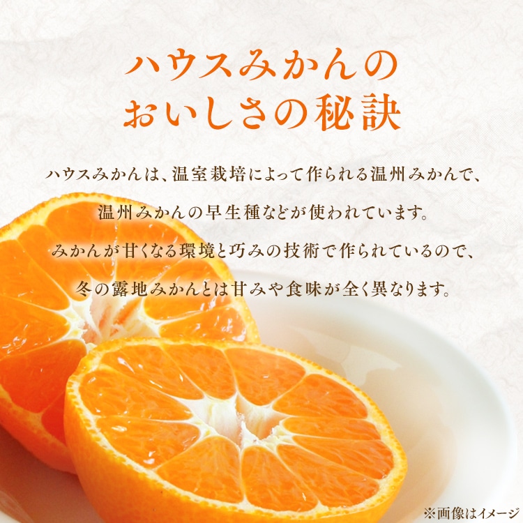 宇和島青果市場 宇和島ハウスみかん 4kg 【時間指定不可】【代引不可】【同梱不可】