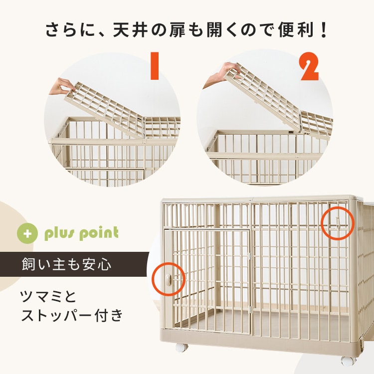 プラケージ 810 ライトベージュ ライトベージュ