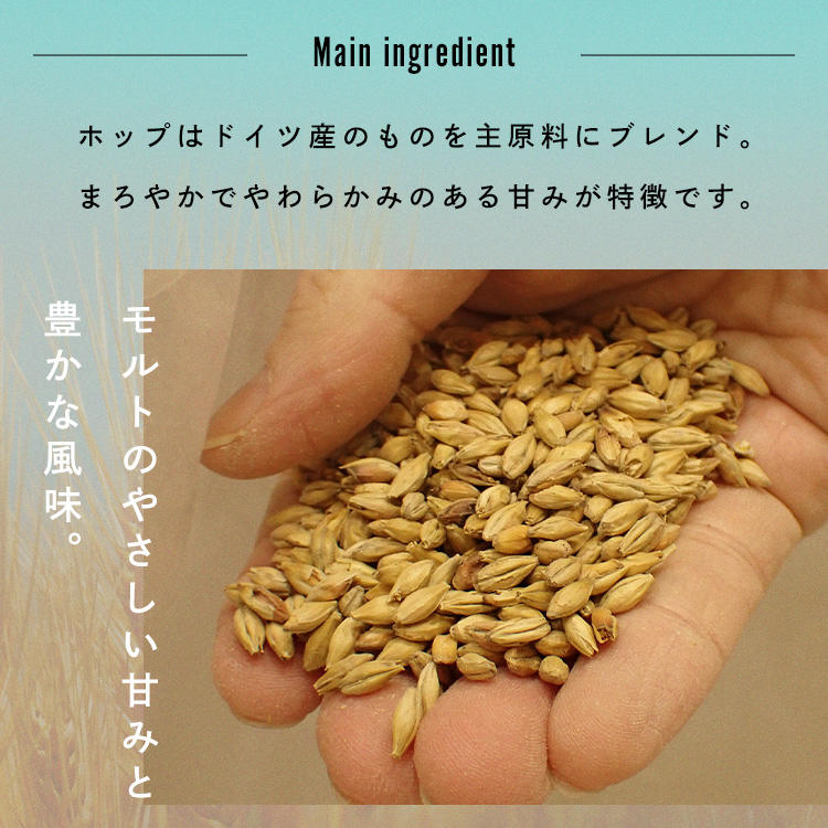 ビール ラガー HELLES 350ml缶×24本