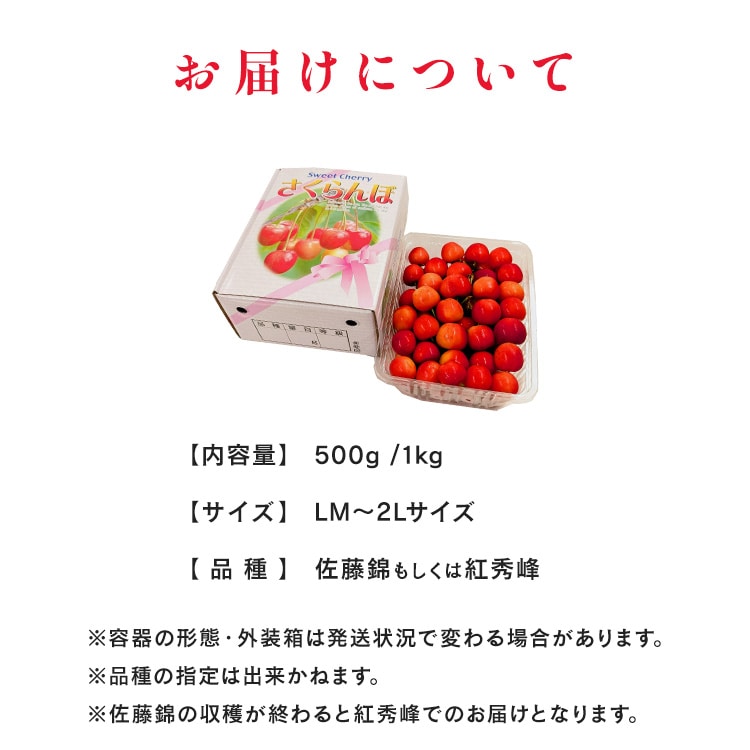 北海道産さくらんぼ500g 【時間指定不可】【代引不可】【同梱不可】