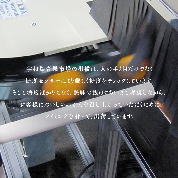 宇和島青果市場 宇和島ハウスみかん 4kg 【時間指定不可】【代引不可】【同梱不可】