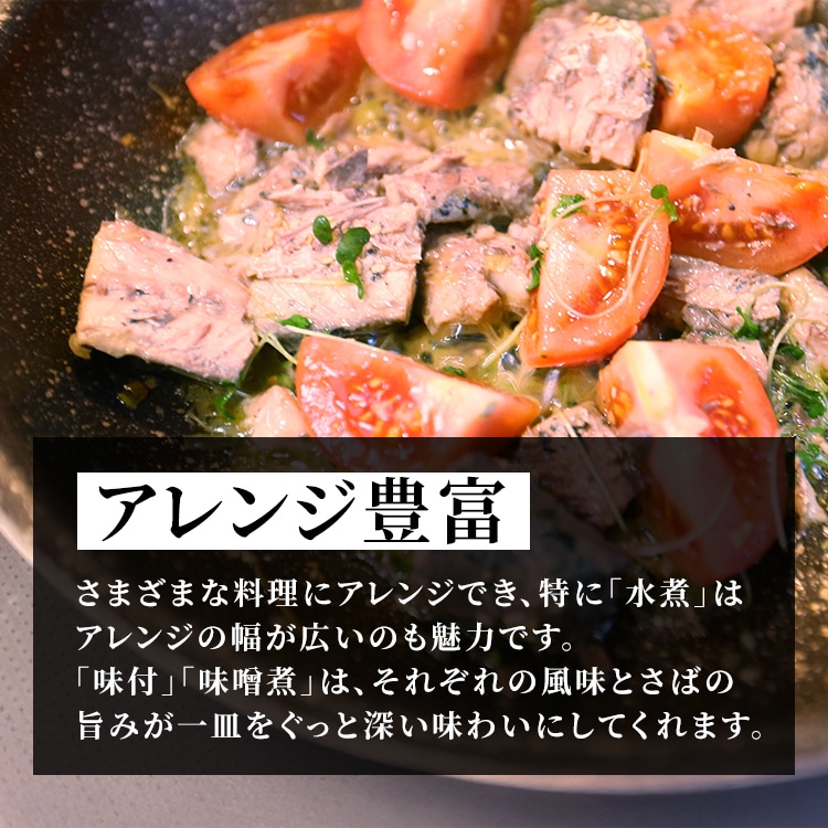 TFJ 【48缶】さば缶 水煮 水煮