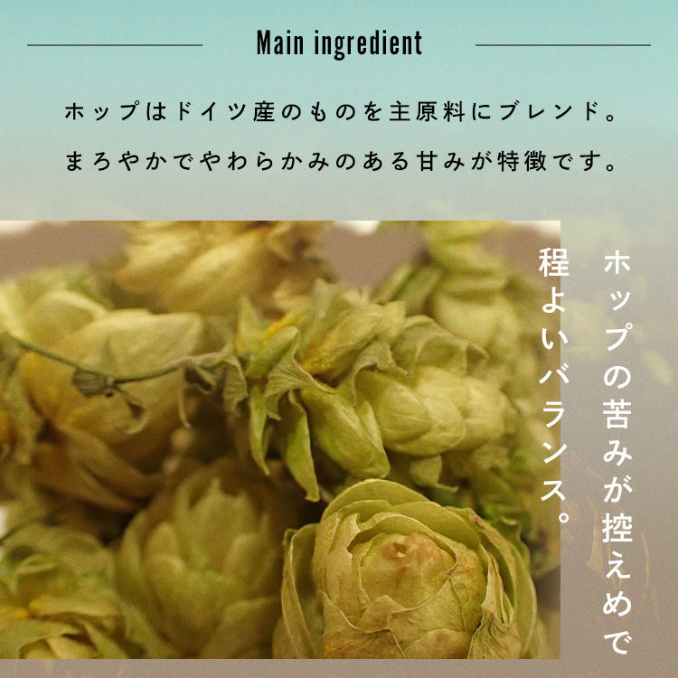 ビール ラガー HELLES 350ml缶×24本