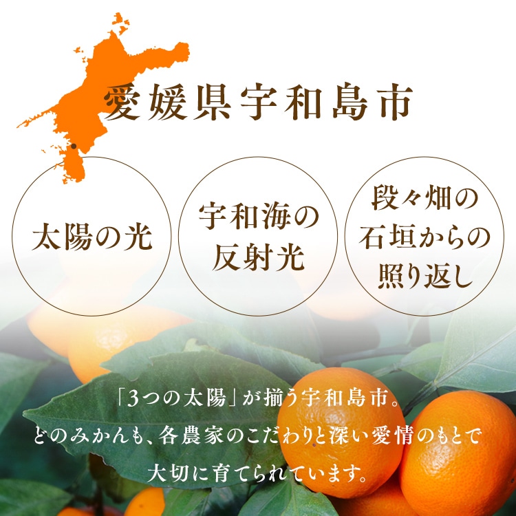 宇和島青果市場 宇和島ハウスみかん 4kg 【時間指定不可】【代引不可】【同梱不可】