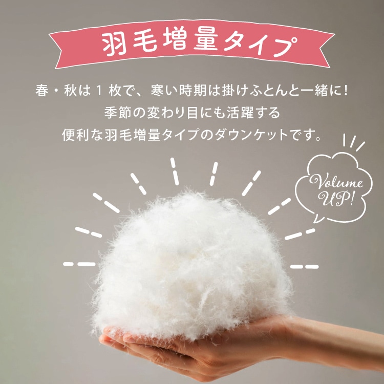 ダウンケット DK-25012 ブラウン【時間指定不可】【代引不可】【同梱不可】 ブラウン