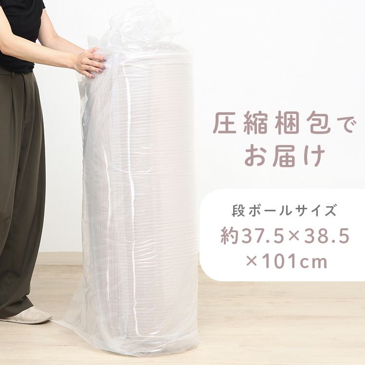 だらりんソファ シフォン ブラウン【時間指定不可】【代引不可】【同梱不可】 ブラウン