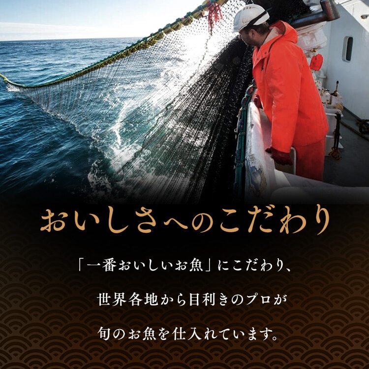 【山陰大松】氷温熟成 骨取りさば切身18切 HSB-18 【時間指定不可】【代引不可】【同梱不可】