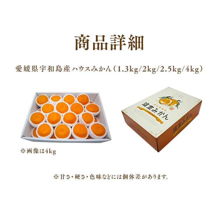 宇和島青果市場 宇和島ハウスみかん 4kg 【時間指定不可】【代引不可】【同梱不可】