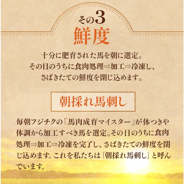 フジチク ふじ馬刺し詰合せ【華】 2557 【時間指定不可】【代引不可】【同梱不可】【プラザセレクト】