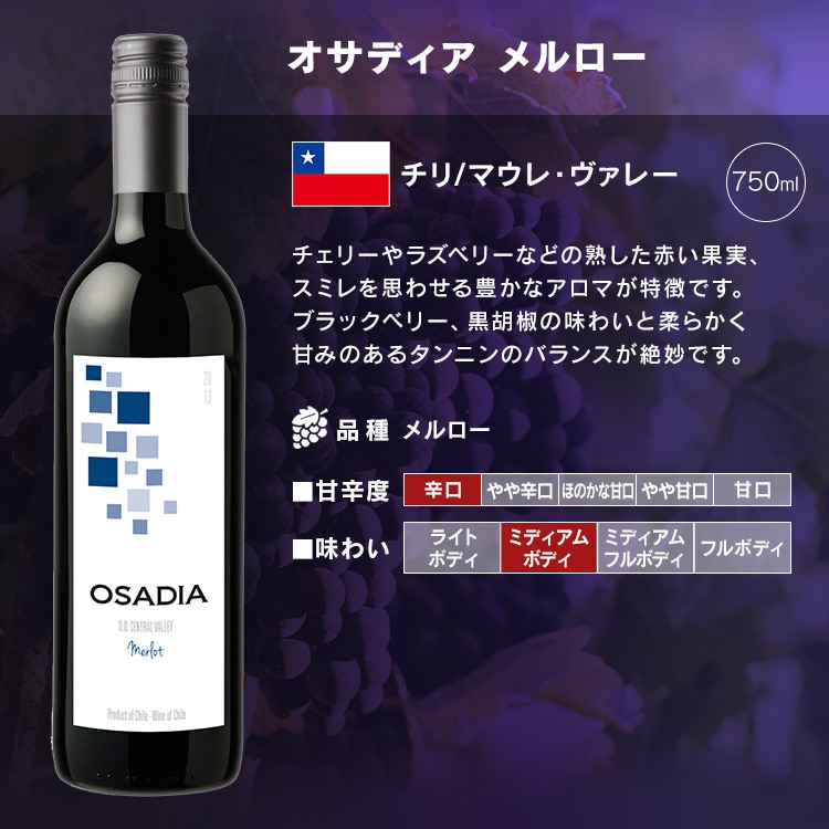 \10%OFFクーポン発行中!/\NEW/ワイン フランス金賞ボルドーと世界の赤ワイン11本セット