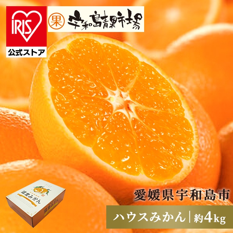 宇和島青果市場 宇和島ハウスみかん 4kg 【時間指定不可】【代引不可】【同梱不可】