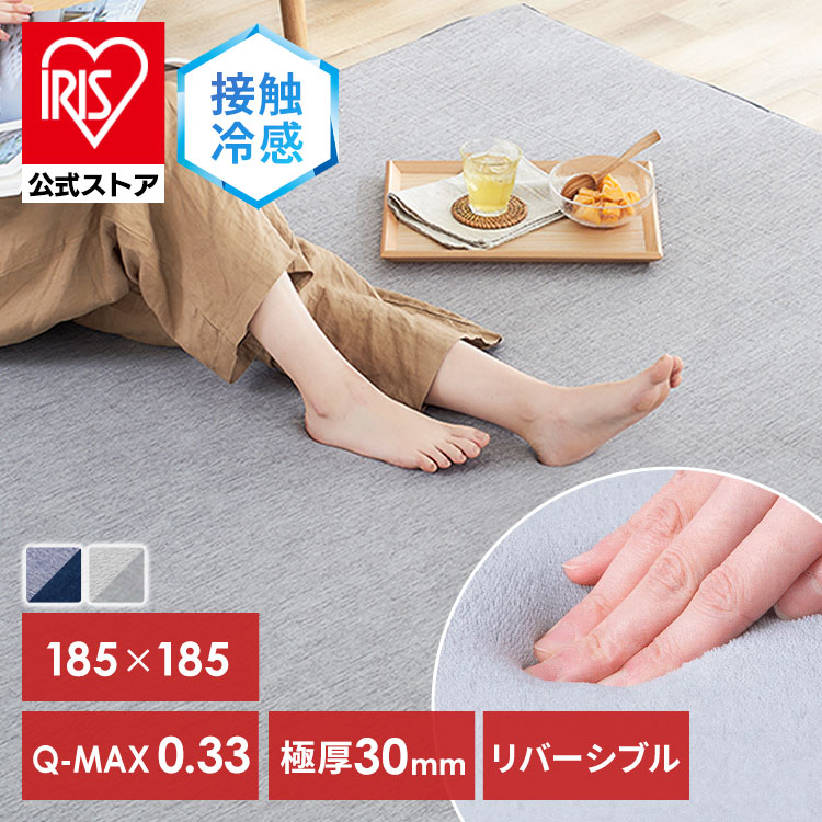 ラ・クッションラグ リバーシブルタイプ ACRR-CM1818 グレー