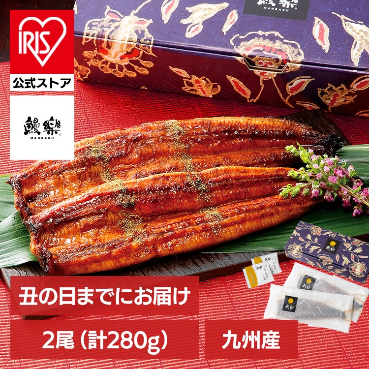 ［予約］［土用の丑の日までにお届け］［2尾］うなぎ 鰻 九州産うなぎ蒲焼2尾セット 【時間指定不可】【代引不可】【同梱不可】