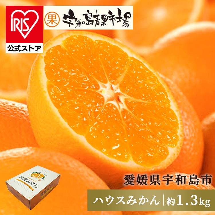 宇和島青果市場 宇和島ハウスみかん 1.3kg 【時間指定不可】【代引不可】【同梱不可】