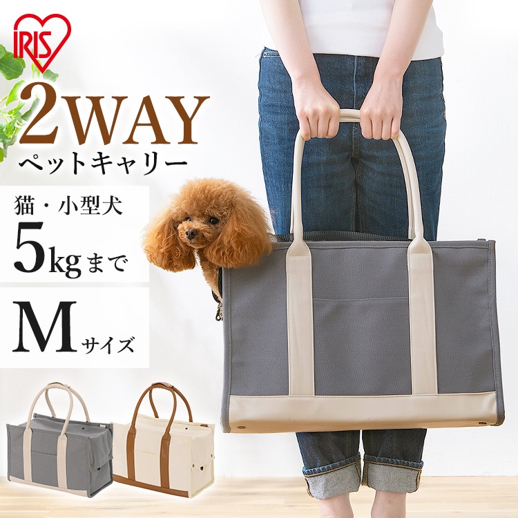 ［マイル5倍！12/7迄］キャンバストートキャリーMサイズ P-CT400 アイボリー