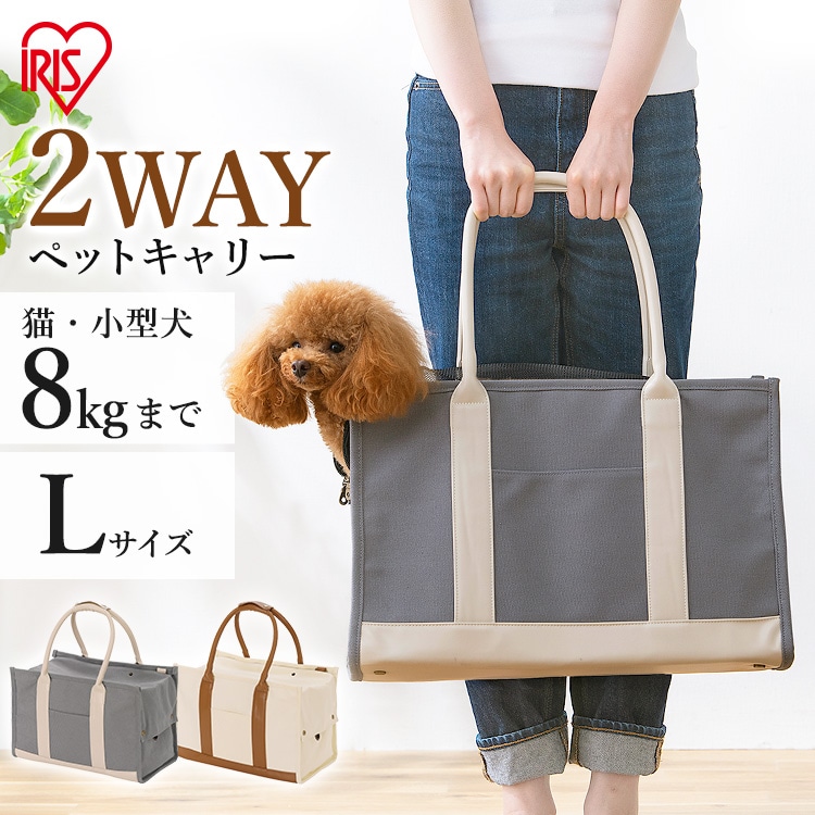 ［マイル5倍！12/7迄］キャンバストートキャリーLサイズ P-CT450 グレー