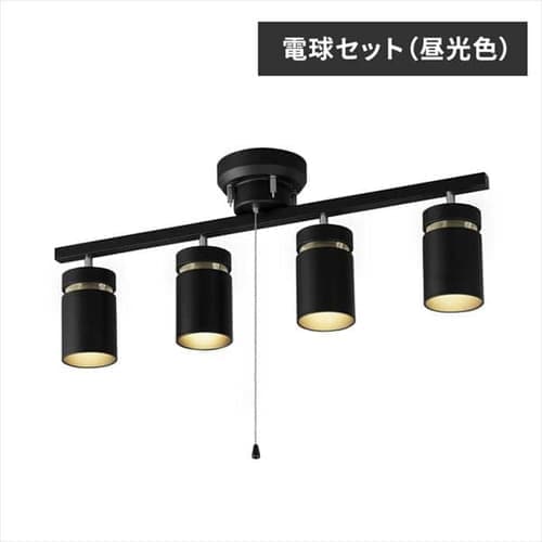 ［マイル5倍！12/7迄］[電球セット]4灯シーリングライト CE4LA-22SS-MB マットブラック