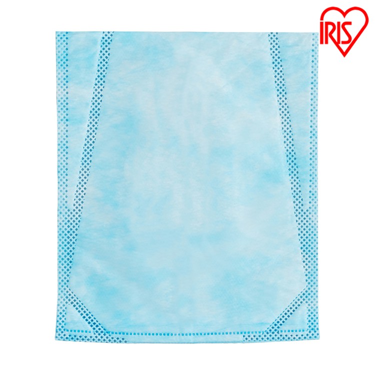 別売りダストパック ≪掃除機 i10 専用≫ FDPAG36