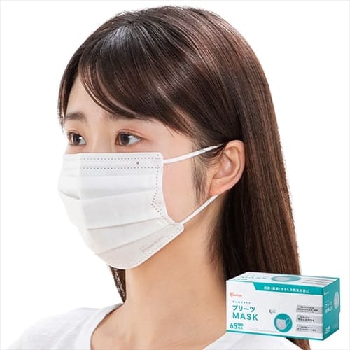 ［マイル5倍！12/7迄］[65枚入]プリーツマスク PN-NV65L ふつう