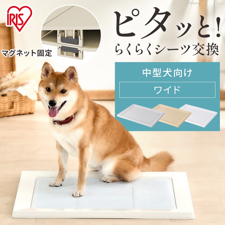 ［マイル5倍！12/7迄］スクエアドッグトレー ワイド SQDT-616W ベージュ