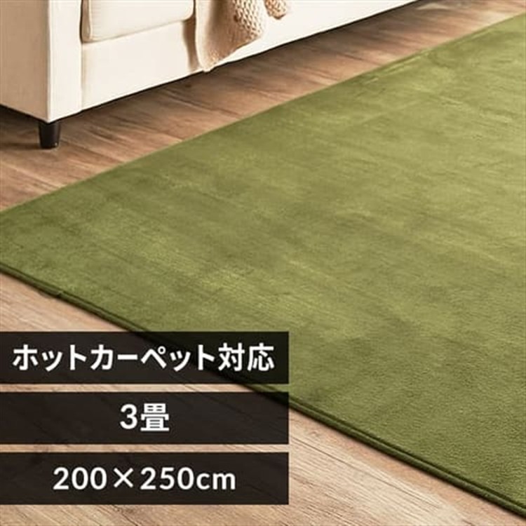 ［マイル5倍！12/7迄］フランネルラグ 200×250cm FNR-RC-2025 グリーン