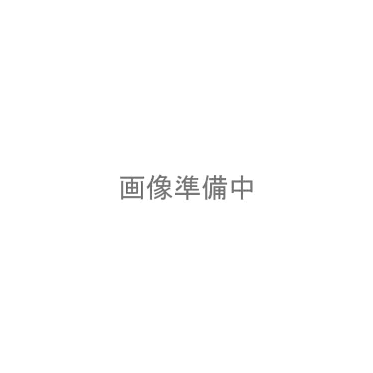 折りたたみファブリックケージ Ｌサイズ POSC-800B ベージュ