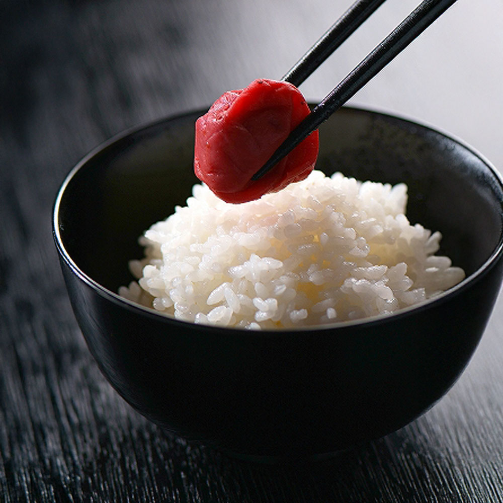 ［5倍マイル！本日2/27迄］王隠堂農園 むかし梅干 500g 【時間指定不可】【代引不可】【同梱不可】【プラザセレクト】