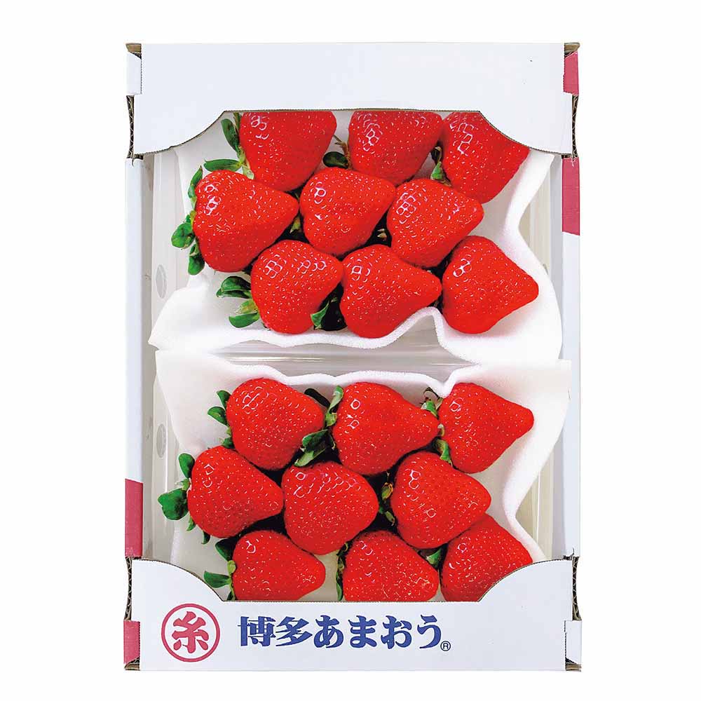 ［マイル5倍！12/7迄］福岡あまおう AMO-2 【時間指定不可】【代引不可】【同梱不可】